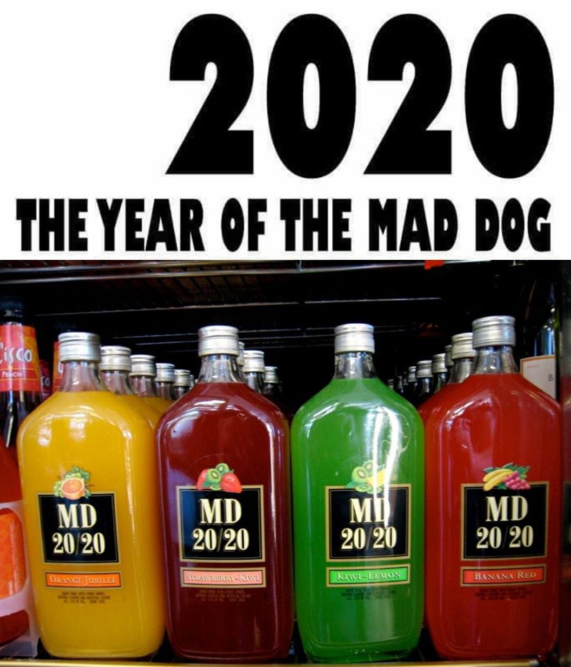 DweebThePeople's tweet photo. This is what the prophecy foretold! #newyearseve #happynewyear #newyears #2020 #2019 #newyearsday https://t.co/2EcZqqu2OV