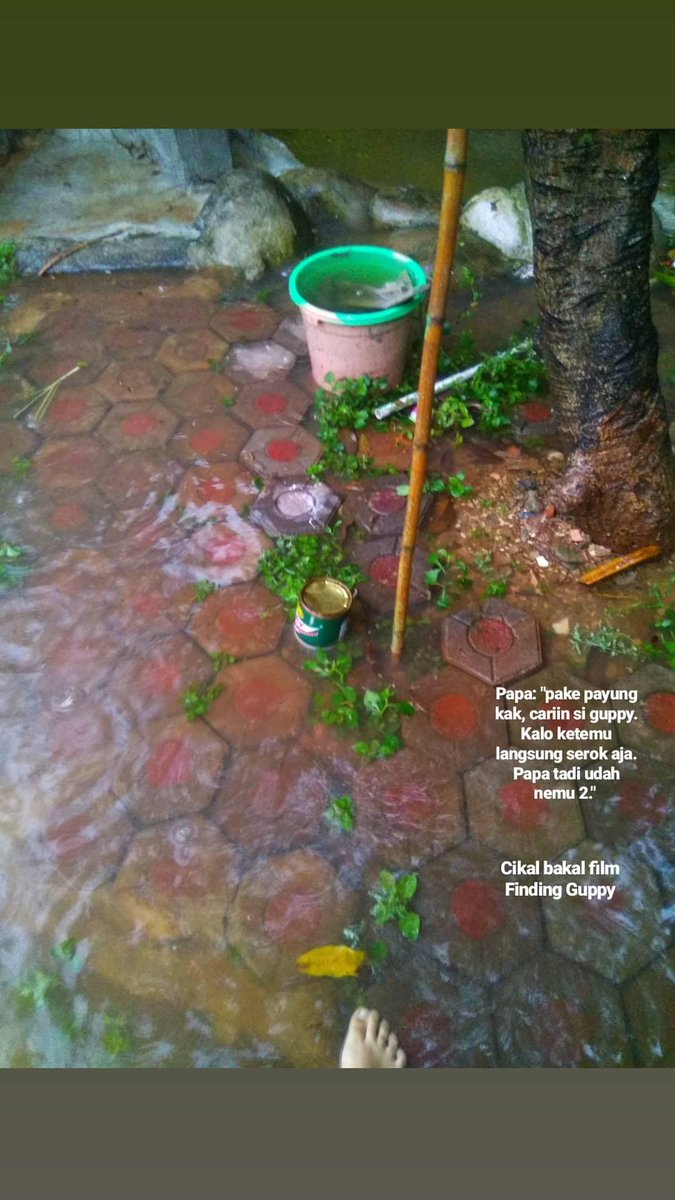 taleitell's tweet photo. This Finding Guppy series really makes my day. Papa is way too soft &amp; funny 😭♥️ #banjir #banjir2020 https://t.co/IVL7NBHVUg