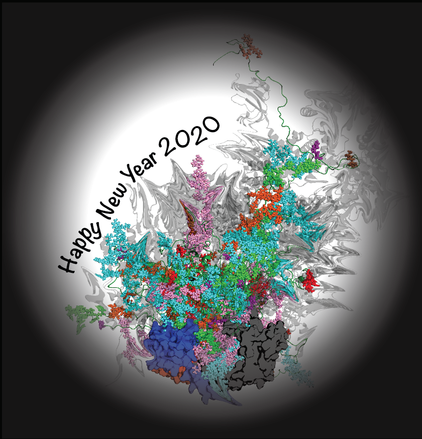 KarenFlemingPhD's tweet photo. Don't worry if you're starting out the new year with "messy hair". The overlaid ensemble of SurA-uOMP structures looks like messy hair all the time. The bacteria love it. #discovery #BasicScienceforBetterHealth @DaganMarx @fried_lab #WomenInSTEM
https://t.co/ROf3b68L4p https://t.co/QR1AmhByWG