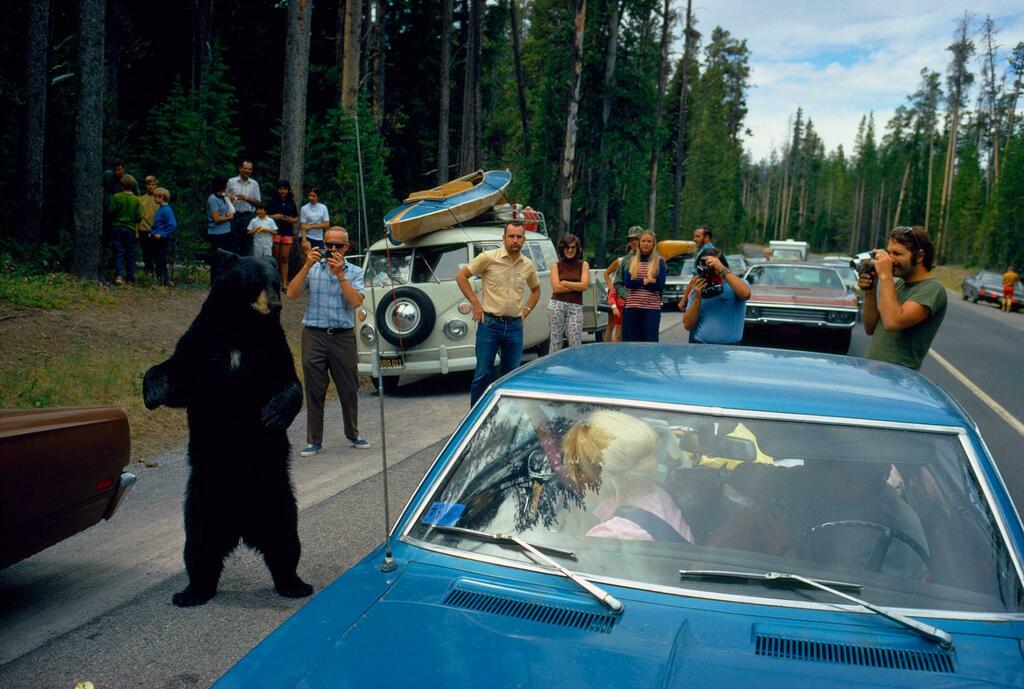 It's a new month, make it an amazing one! It's January 01, 2020 at 05:00AM Photo via natgeo