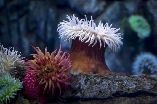 Parker Spielvogel tweet media