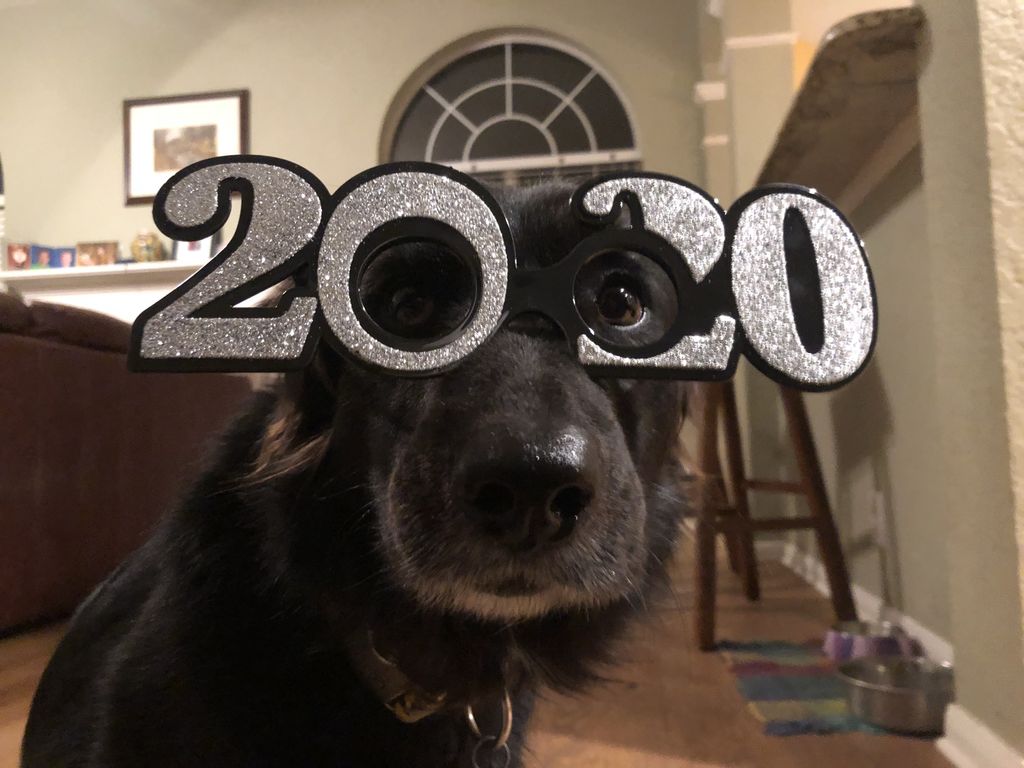 amyoaksongmt's tweet photo. Happy New Year! https://t.co/qgM15TY7Aq