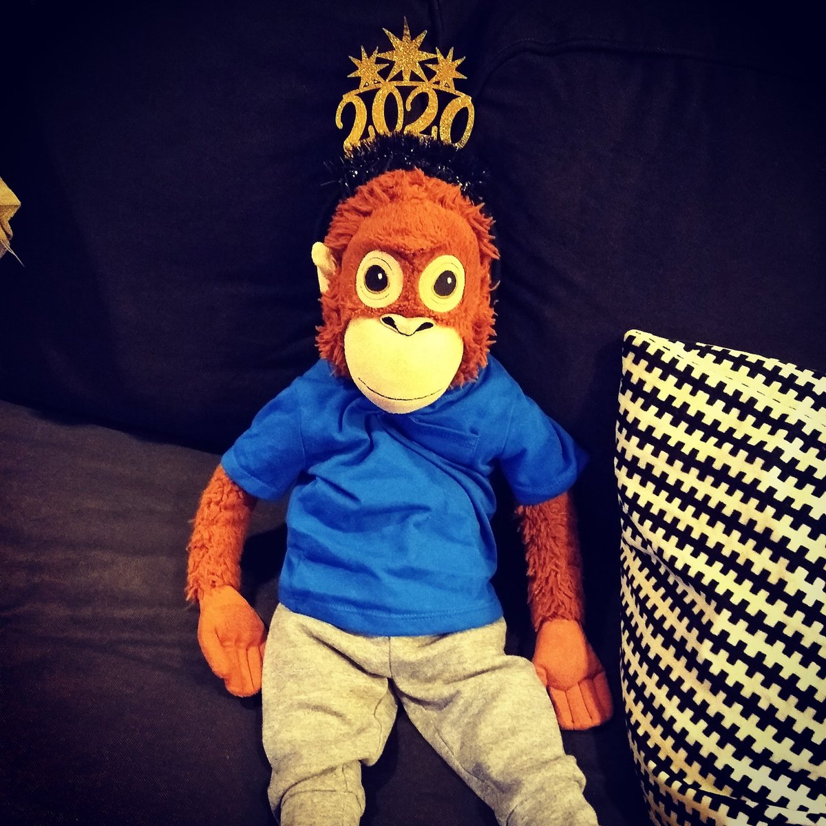 nigelsheadache's tweet photo. Happy New Year! I can't wait to see all my friends on Thursday. I'll be tired, but I'll be ready. #happynewyear #2020NewYear #classpet #newyearoldme #mathmonkey https://t.co/9obywXYNgq