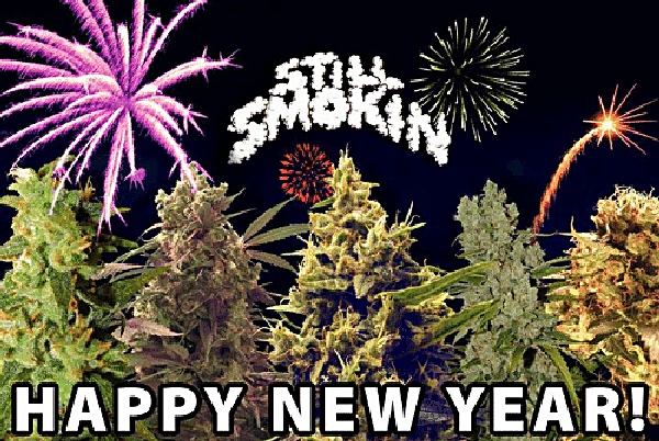 Happy New Year!  Friday Night Sesh - The Stoner Mom