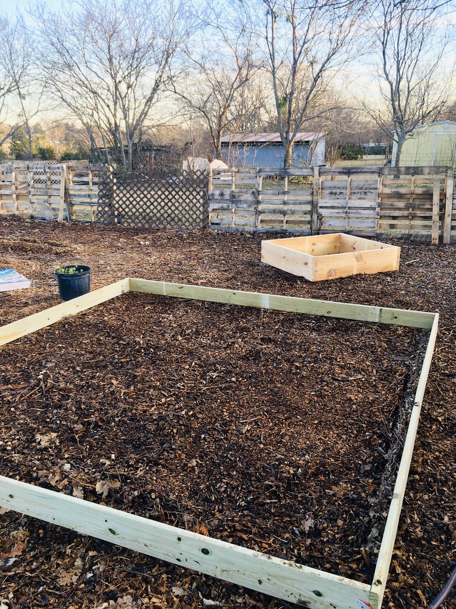 coylpoitier's tweet image. Great #Day to work in the #garden at @fawccas’ @DeloachFarms!

Built new raised beds

#Love #Urbangardening #gardening #urban #agriculture #farming #greens #vegetables #fruit #trees #TreesForLife #HappyNewYearsEve