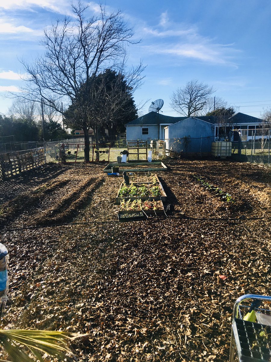 coylpoitier's tweet image. Great #Day to work in the #garden at @fawccas’ @DeloachFarms!

Built new raised beds

#Love #Urbangardening #gardening #urban #agriculture #farming #greens #vegetables #fruit #trees #TreesForLife #HappyNewYearsEve