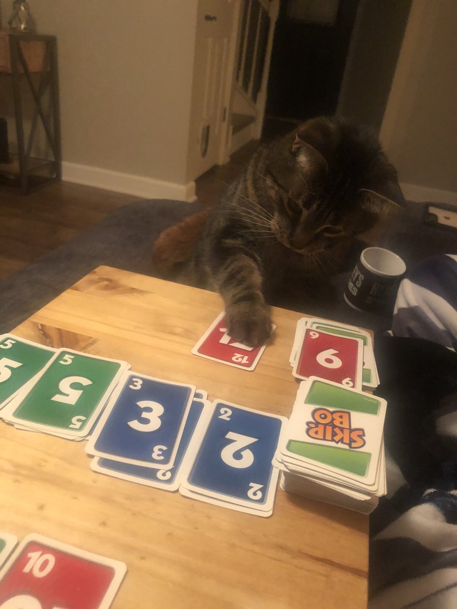 JJerisk12's tweet photo. @TheEllenShow My Cat’s New Years Resolution was to learn Skip Bo, and he mastered it in one game ! #HeWon #SkipBo #Bane https://t.co/Nzdkw9KLsK