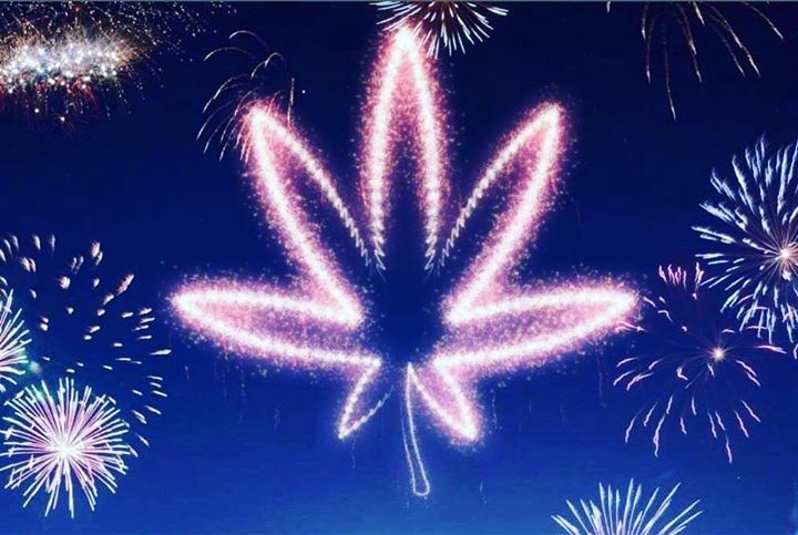 treehousecult's tweet photo. Next round 4/20 ! 
.
.
.
#weed #weedporn #weedmemes #thc #marijuana #sativa #indica #cannabis #smoke #smokeweedeveryday #smokeshop #flowers #cannabiscommunity #cannabisculture #cannabiscures #cannabisfarm https://t.co/iFTs8ySmzg