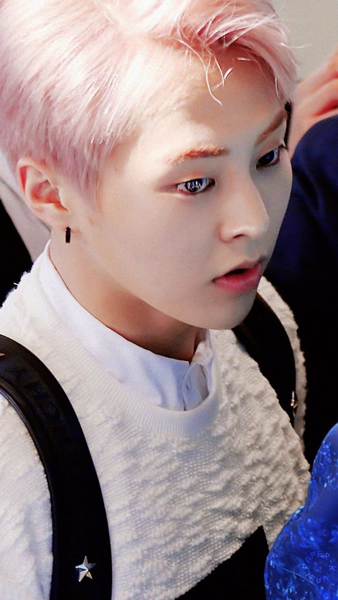 Xiuthetic's tweet photo. The cuteness 🥺💗 https://t.co/2G8OCB52Nc
