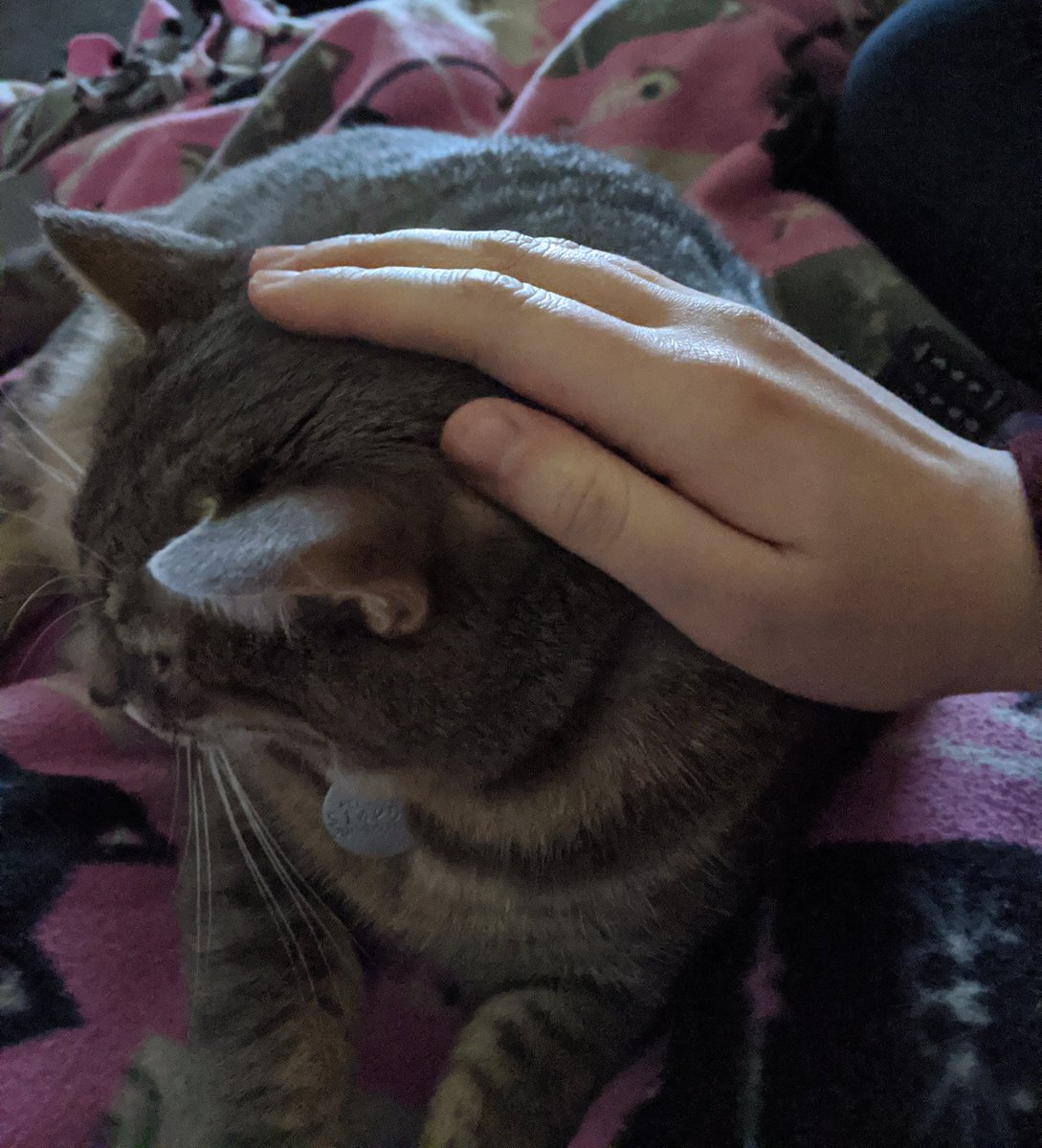 Happy New Year, everyone! It is good to celebrate with those you love.