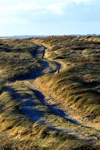 Wexford_Walking's tweet photo. Best wishes for health & happiness in 2020. If thinking of health & fitness why not join in the @Newstalk #100DaysofWalking initiative. 30mins/day x 100 days = 50hours. Super start to 2020! Find your trail 👉 https://t.co/1GxSyKpco0 #HappyNewYear #100DaysOfWalking #Resolution https://t.co/4zx973cRtJ