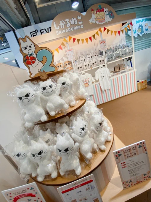 『しかるねこ 2周年 POP UP STORE』の会場設営が完了したよ!
明日1月2日から池袋P'PARCOで開催です!遊びに来てね!
 