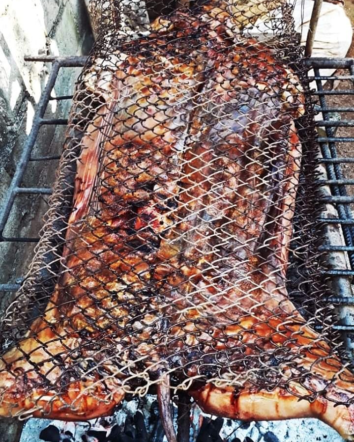 cubatrendings's tweet photo. En parrilla, en púa, en cazuela... el cerdo asado no puede faltar en la mesa del #cubano #happynewyear2020 #foodpicture #cubaneo #dinner #cerdoasado🐖 https://t.co/VhWSiL4sQT