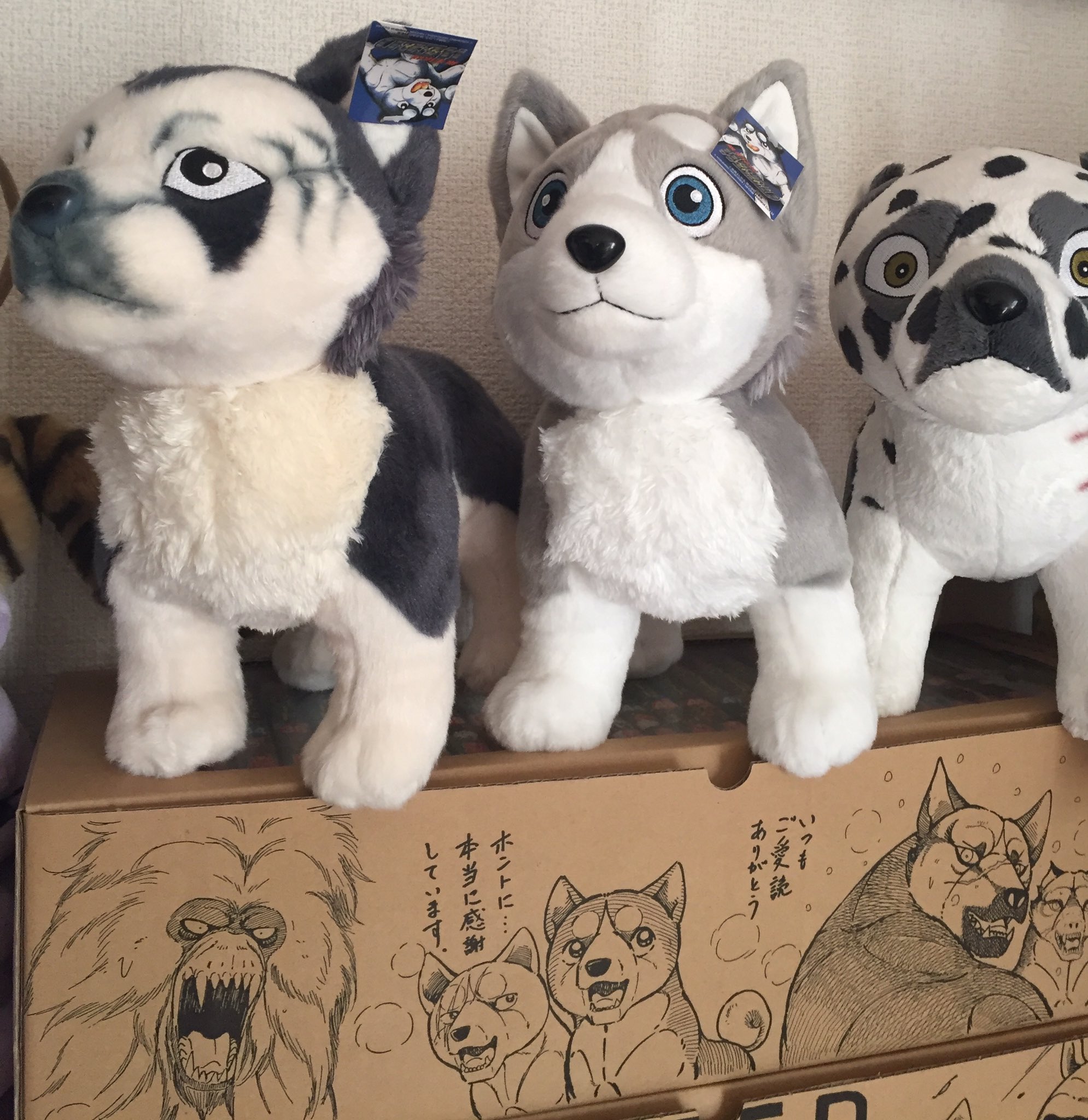 独特な店 銀牙伝説ウィード 狂四郎 ぬいぐるみ - www.ehrenamt-pankow
