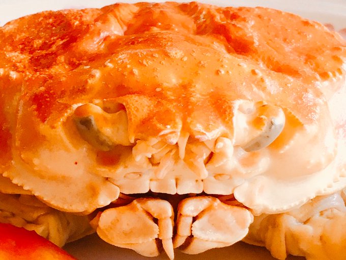 これは昨日のポケモン蟹/蟹 