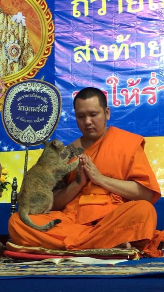 พี่รีน tweet media