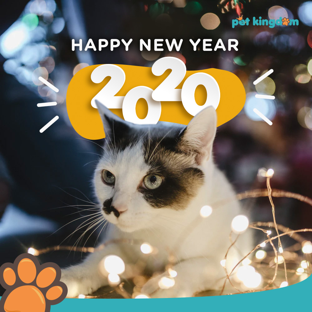 Pawfriends and Pawrents, The New Year is coming and we’re getting excited! Because the year passing was so good while it lasted. And we feel this New Year of 2020 will be even better. We’ll keep on serving up wonderful things for you. Happy New Year!