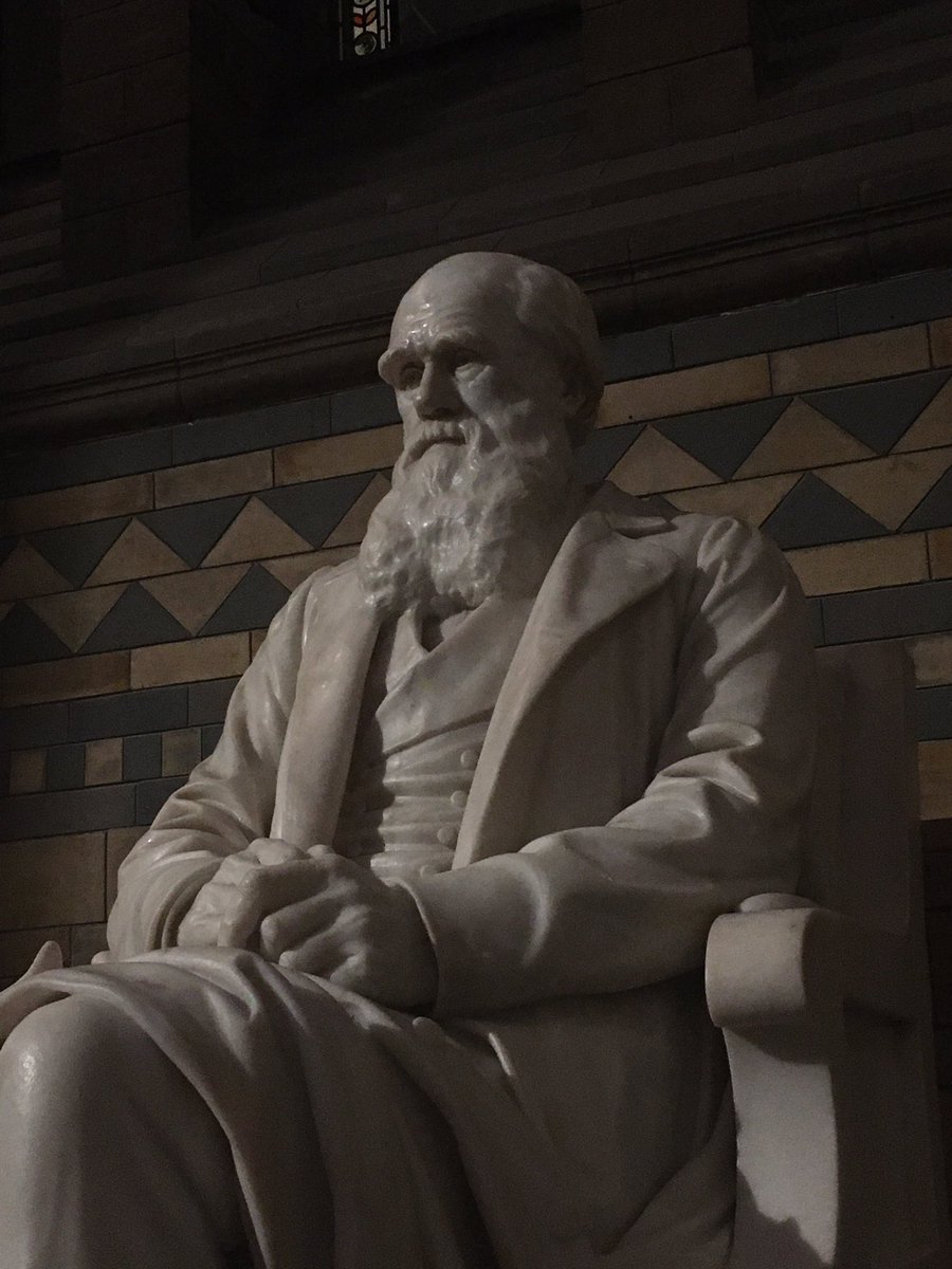 Lydia-Ann Ghuneim, PhD tweet media