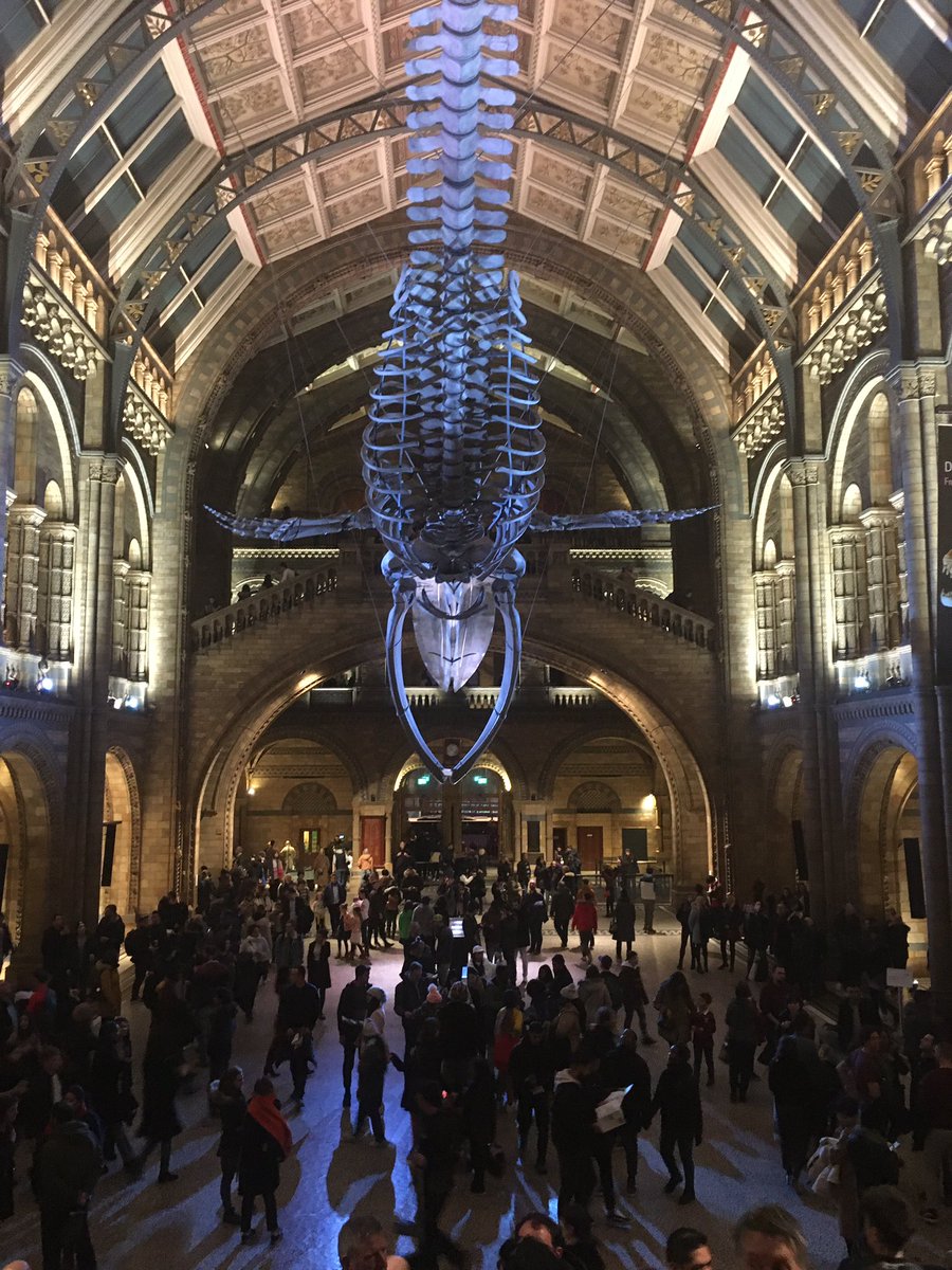 Lydia-Ann Ghuneim, PhD tweet media