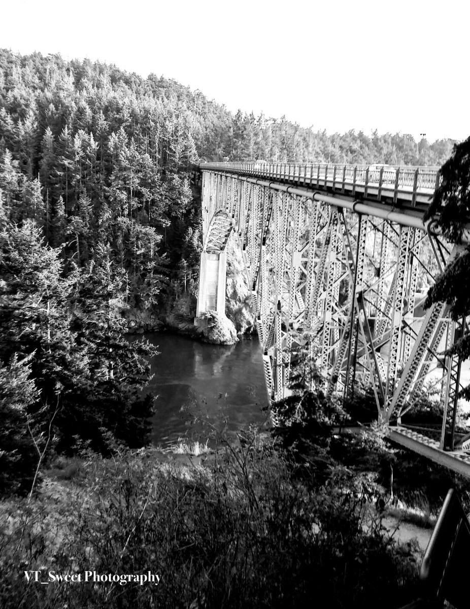 Breathtaking Bridge 
#bnwphotography #bnw_captures #bnw #bw #blackandwhitephotography #monochrome #monoart #PhotographyIsArt #photographyislife