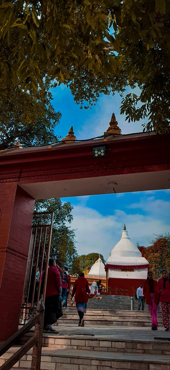 raazkeyrun's tweet photo. कुन मन्दिरमा जान्छौ यात्री?
#bindabasini #2020 https://t.co/yfHKr9qGVb