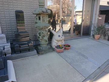 画像 / Picture