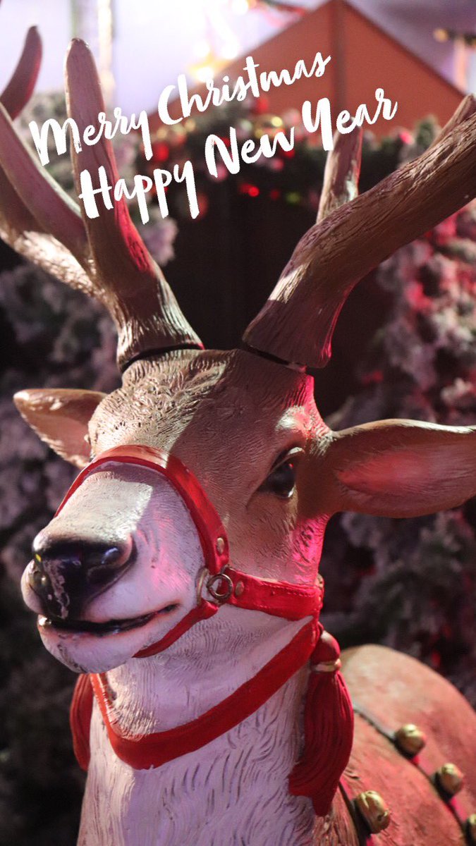designworldAU's tweet photo. Thanks for a great year from DesignWorld. I hope Christmas &amp; New Years Eve was restful 😉 xo https://t.co/lycvb1iAJJ