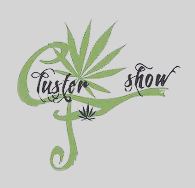Cluster F Show tweet media