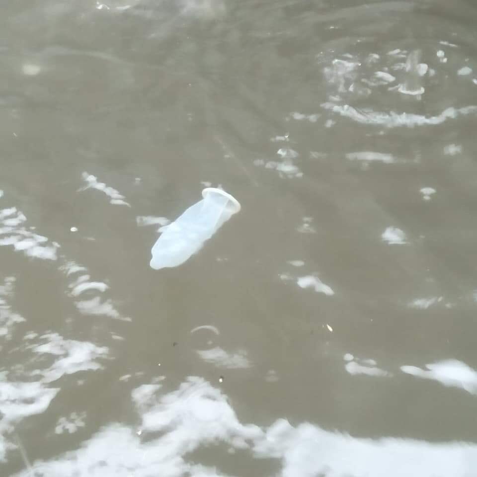 Anjir gua kira cumi-cumi #banjir