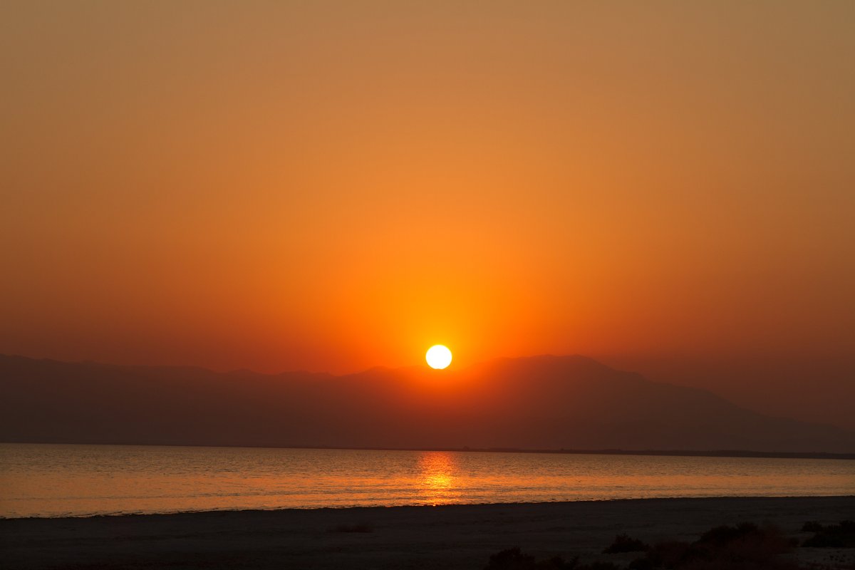 VisitCADeserts's tweet photo. Happy New Year's Eve! We hope everyone has a fun and safe holiday. #VisitCAdeserts #saltonsea https://t.co/MyDyFDfrlF