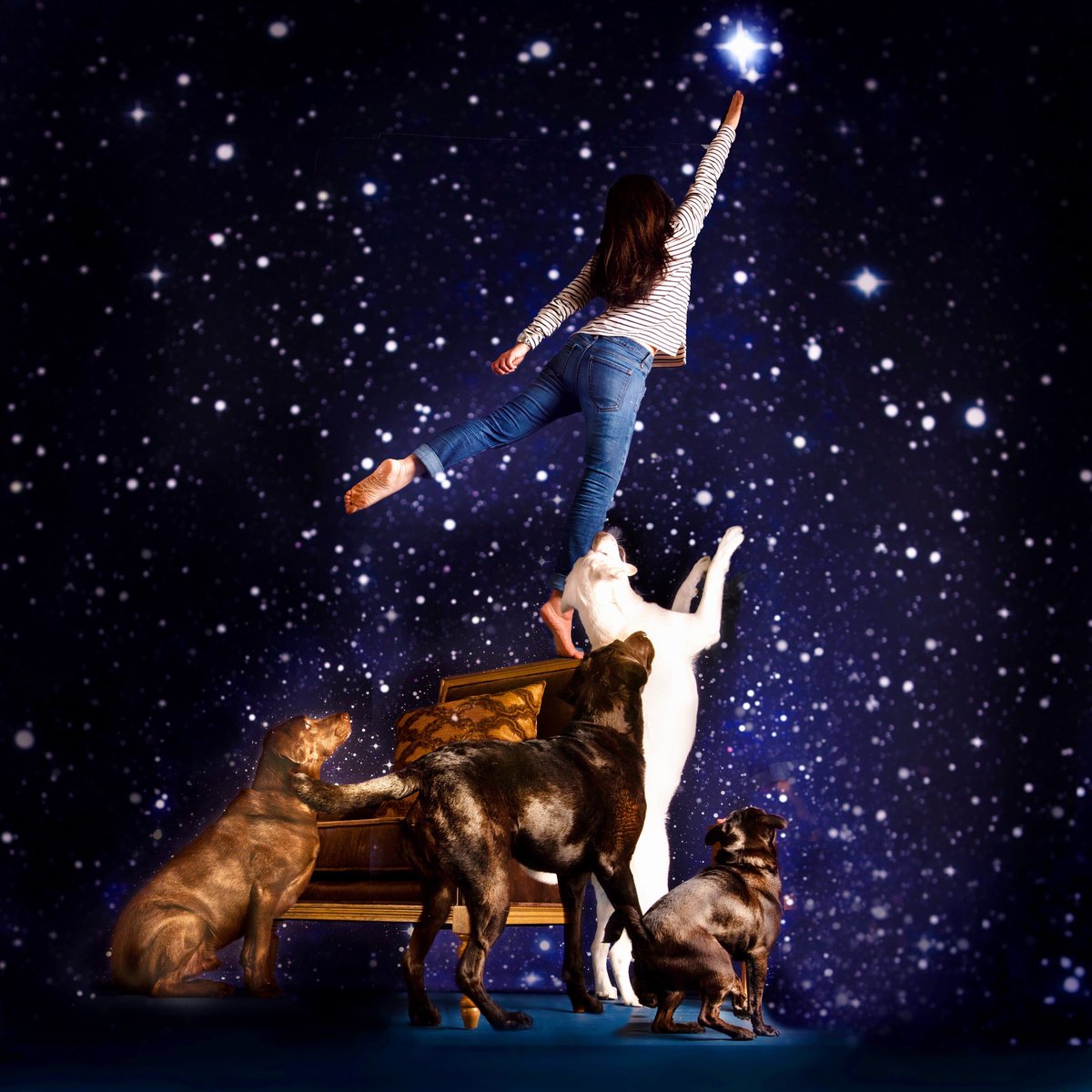 Sniffingftcure's tweet photo. Go big, reach for the stars and achieve the unreachable, this New Year! Wishing you a healthy amd happy New Year! https://t.co/AMngJuMlKg
