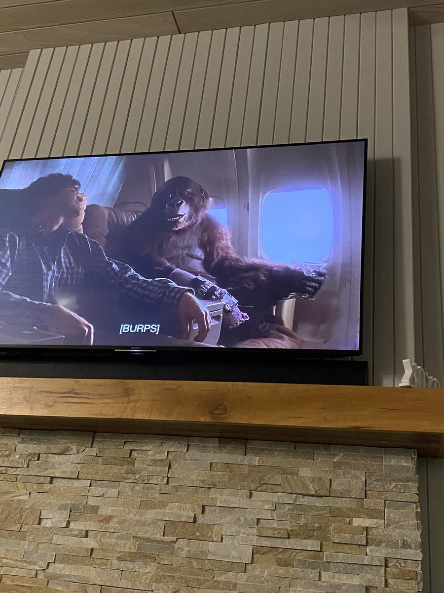 ⁦<a href="/AmyTheApe/">Amy the Talking Ape</a>⁩ Excuse you!