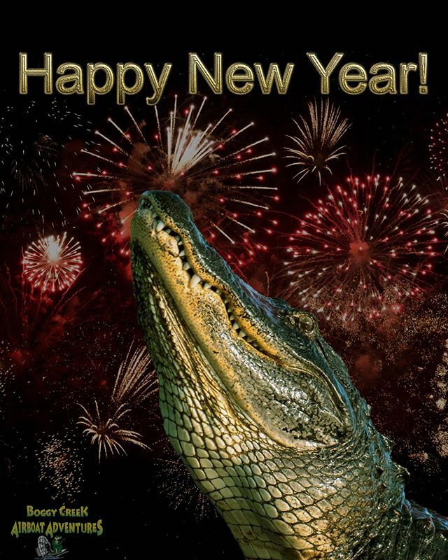 Best of wishes to you and yours from all of us at Boggy Creek!
.
.
.
#happynewyear #newyear #boggycreekairboats #lovefl #Floridanow #FloridaWildlife #alligator ift.tt/2QePiHb
