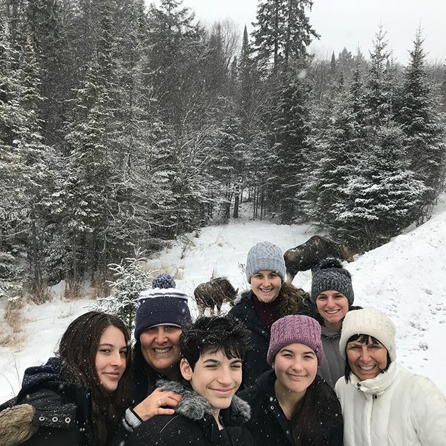 FindYourWild1's tweet photo. One family meets another.#algonquinprovincialpark #moose #snowshoeing https://t.co/SYE6Wpmxrz