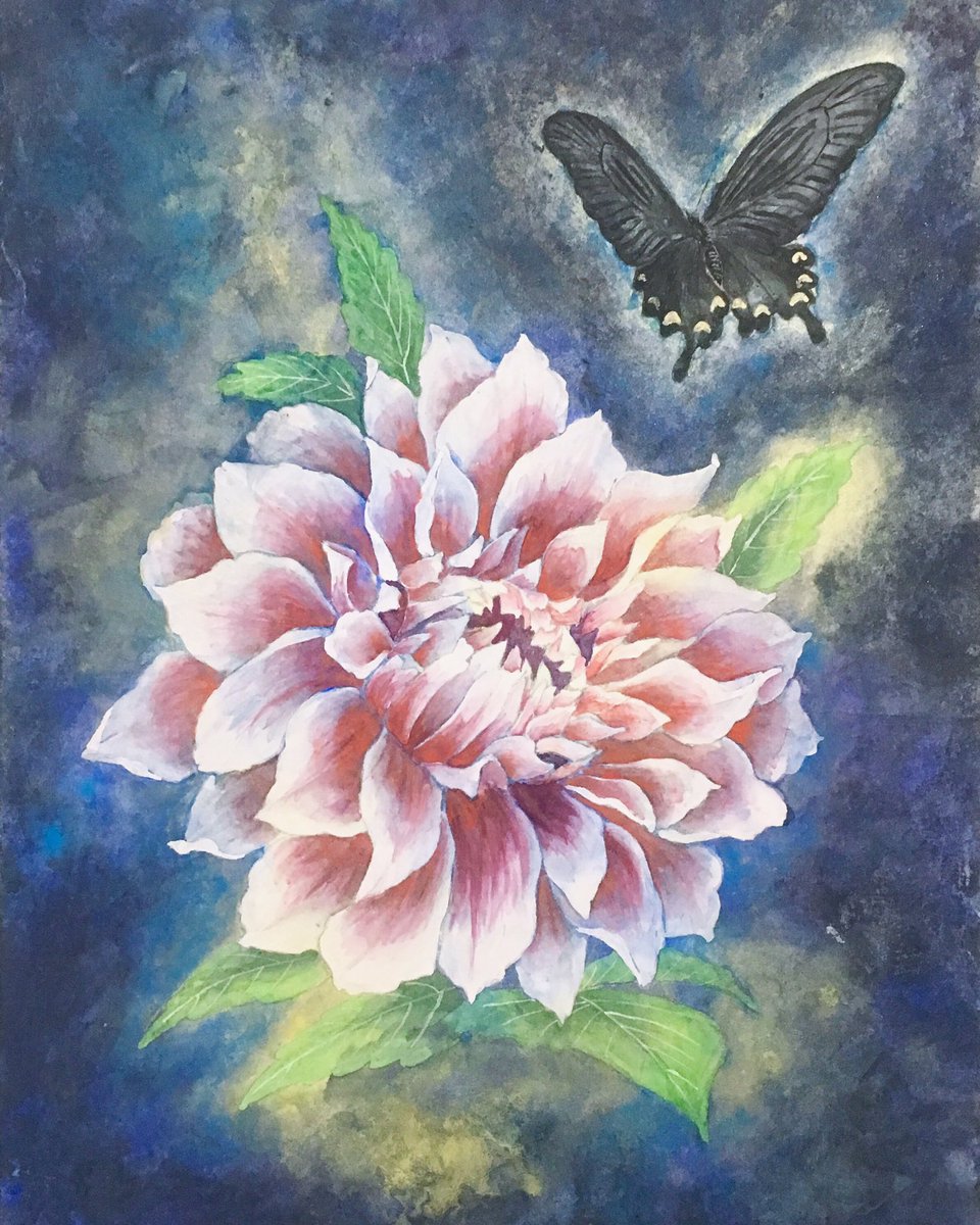 Shion ダリア Dalia Flowerpaintings Artwork Artworks Japanesepainting 日本画 ダリア Butterfly アゲハチョウ 蝶 花の絵 絵 Shion ダリア Dalia Flowerpaintings Artwork Artworks Japanesepainting 日本画 ダリア Butterfly アゲハチョウ 蝶 花の絵 絵
