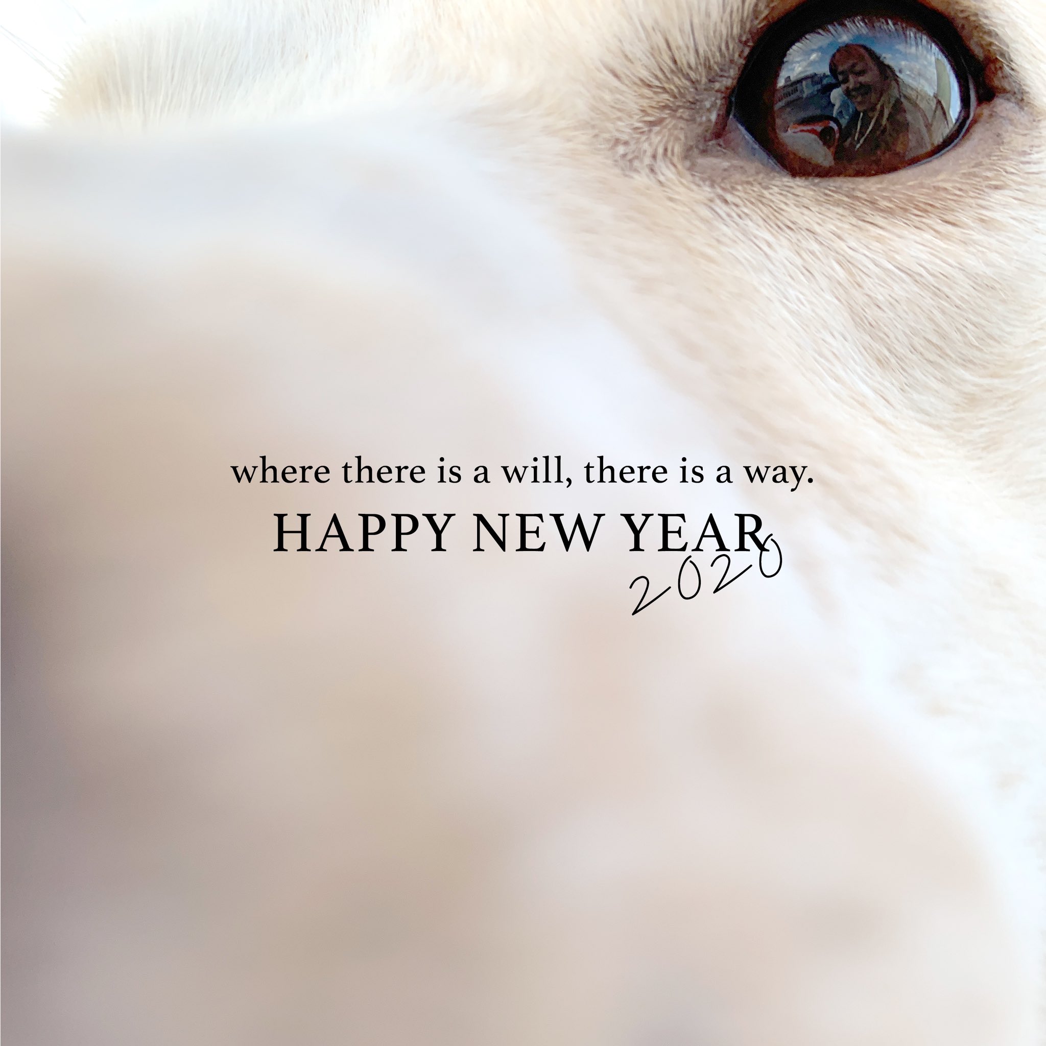 前山田 留美 Maeyamadar Twitter