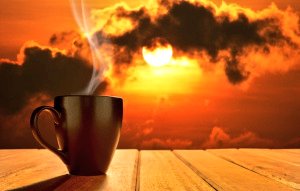 Non arrenderti mai, perché quando pensi che sia tutto finito, è il momento in cui tutto ha inizio.🌹
#1gennaio
#1gennaio2020
#buongiornoatutti