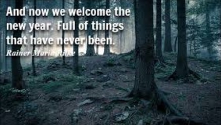 FavreauForestry's tweet photo. Happy Neew Year! https://t.co/XwRgRadbuG