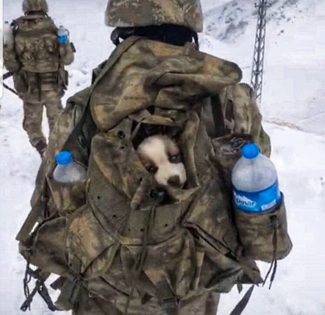 "Yılın Fotoğrafları"