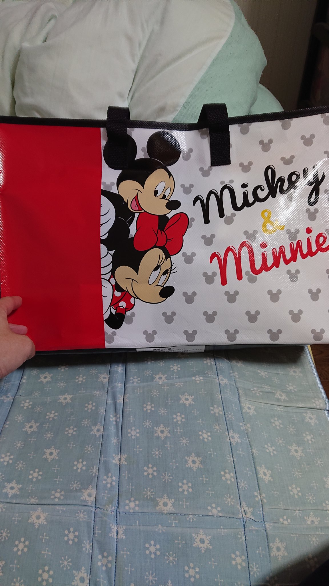 ラッキー ディズニーストアで人生初の福袋購入 今年最初のbook Offでフィギュア2体 Offで購入 ディズニーストア フィギュア ディズニー福袋