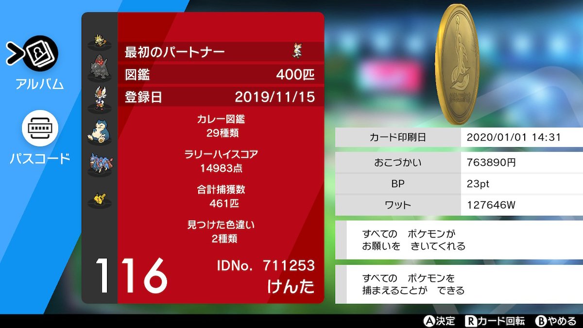 スクショ用アカウント 賀正 ポケモン剣盾 Nintendoswitch