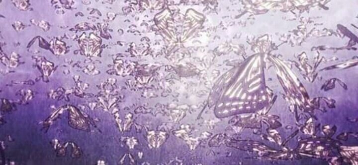 ┊ ┊ ┊ ┊ ┊
┊ ┊ ┊ ┊✫ ˚♡ ⋆｡ ❀
┊ ┊☪︎° ❀
⊹
┊ . ˚ K O C H O U , S H I N O B U 🦋
✧ 
┊┊
❀˚♡ 
┊┊┊
˚✞⋆｡☪︎🦋 

「 Ara ara , Nice to meet you 〜 」

--------🦋❀

 . . . —🦋อสุรีผีเสื้อสาว 🦋— .  . . 

(( ⚠️ : กินเลือดกินเนื้อผู้คน ))

--------🦋❀