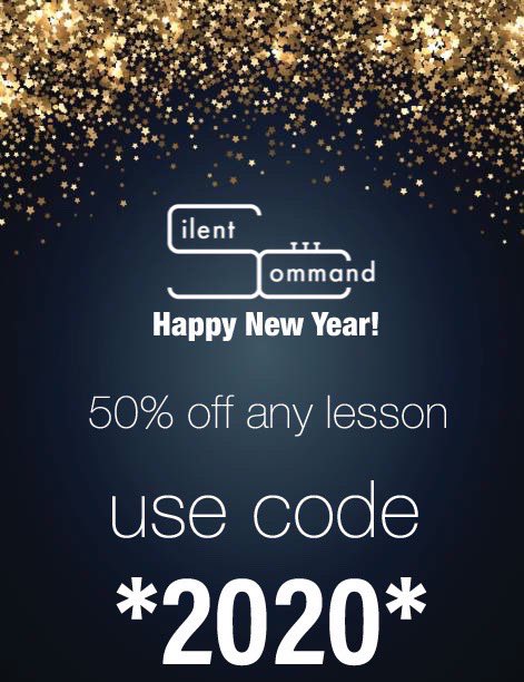 SiCommand's tweet image. || Happy New Year! From now until the end of January, use  the code “2020” to enjoy 50% off any lesson with any instructor! 🎉
.
.
.
#2020 #drummajor #leadership