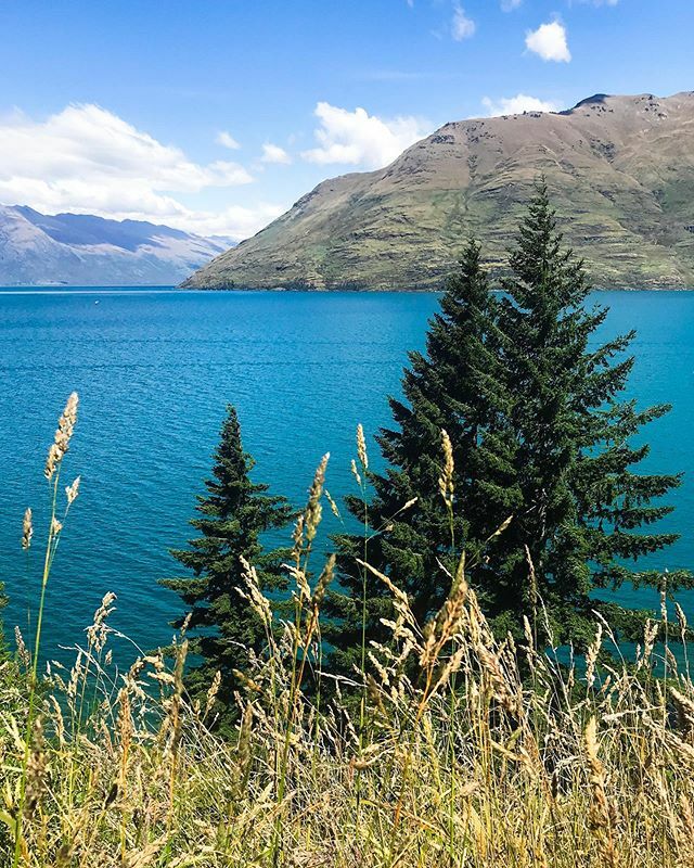 ⚓️Snorkels To Snow❄️ tweet media