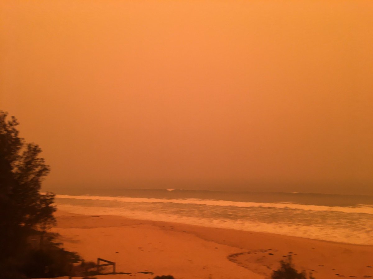 Horrible bushfire smoke in Eden NSW. Beaches deserted, inhalers and face masks sold out, roads to Canberra, Sydney, Melbourne cut-off. Staying indoors to minimise exposure to #AirPollution. Explaining to our children #ClimateEmergency