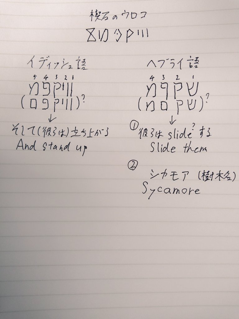 右ねじりベルト 楔石のウロコと意味 画像も字も汚くてすみませんです 昔単位取っただけで文法もあやふや ただ砂時計形の文字はヘブルでないのは確かです ついでにtwitterの使い方も分からないので失礼ありましたらご指摘頂けると幸いです ダクソ 右ねじりベルト 楔石のウロコと意味 画像も字も汚くてすみませんです 昔単位取っただけで文法もあやふや ただ砂時計形の文字はヘブルでないのは確かです ついでにtwitterの使い方も分からないので失礼ありましたらご指摘頂けると幸いです ダクソ