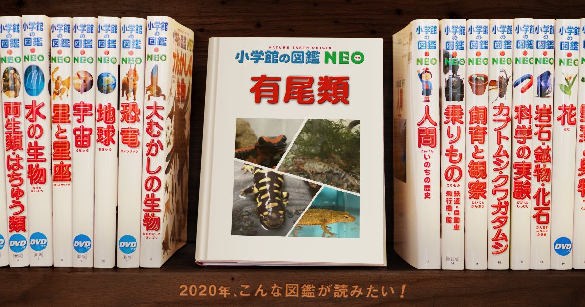 小学館の図鑑 NEO 飼育と観察 - 標本用品