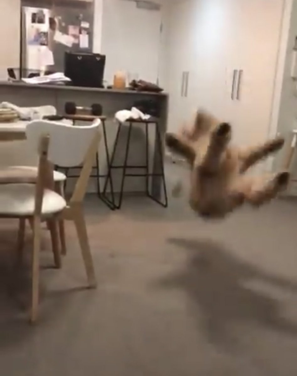 TheSkylineShow's tweet photo. @cutcreaser Jump.exe has crashed https://t.co/gLTZrybgh8