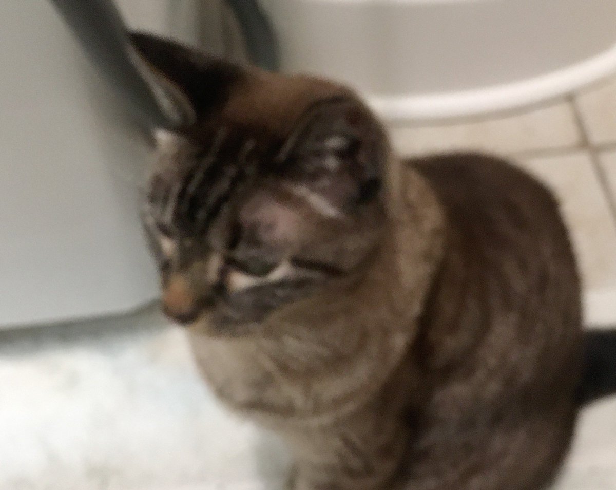 Doug Coleman tweet media