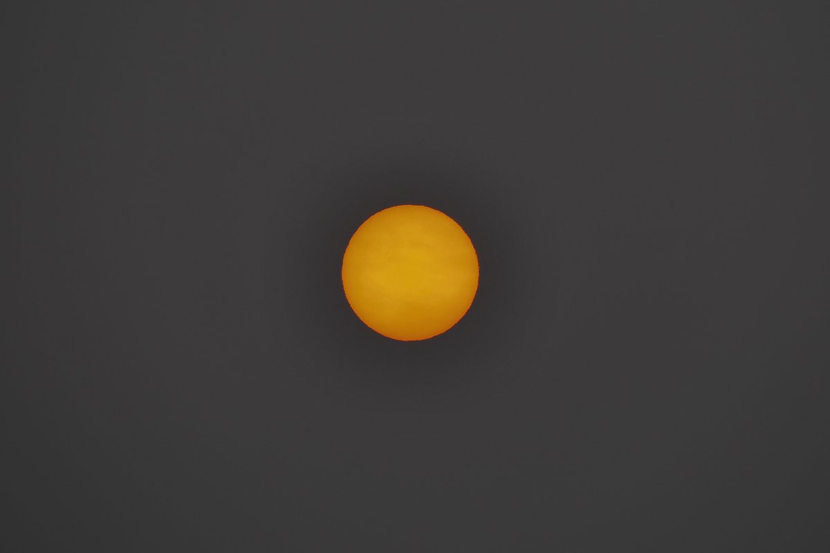 PaulHamerNZ's tweet photo. Bushfire sun now in Wellington NZ, a couple of thousand of km away from the Australian fires. #Bushfires #bushfiresNSW #bushfiresvictoria https://t.co/WI77QPyVBv